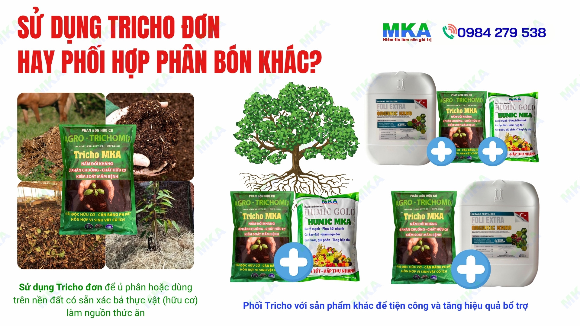 Cách sử dụng và phối trộn Trichoderma